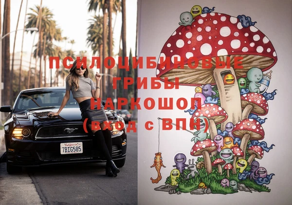 PSILOCYBIN Арсеньев