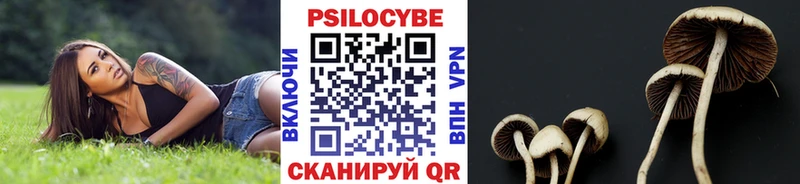 Галлюциногенные грибы MAGIC MUSHROOMS  Купить где  Светлоград 